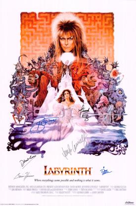 Dentro Del Laberinto (1986) poster